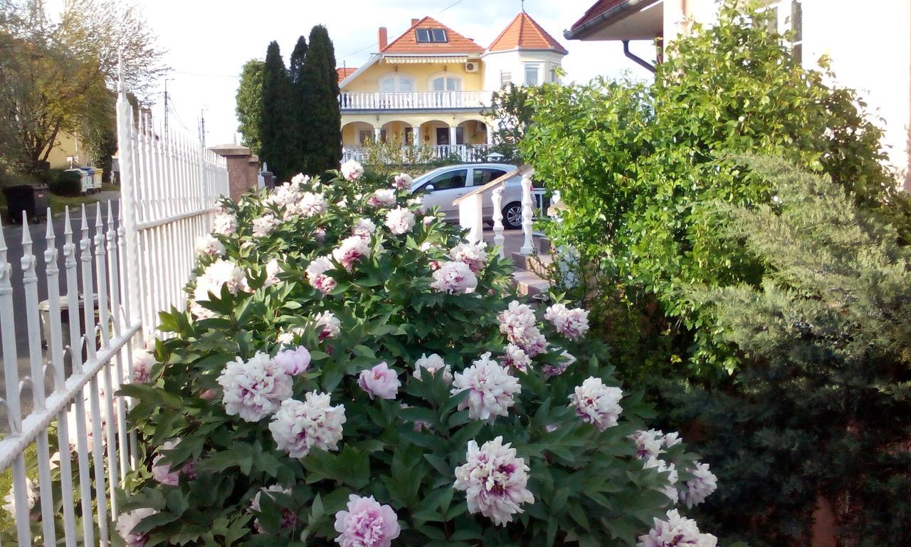 Valloris *